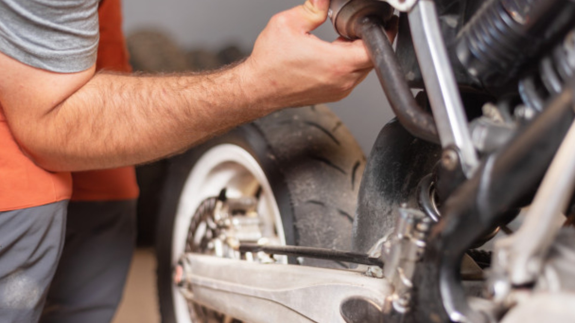 Community Spotlight: Meet Our Loyal Customers